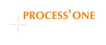 Process One Consulting GmbH